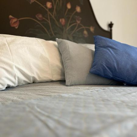 Agriturismo Il Campagnino Кремона Екстериор снимка