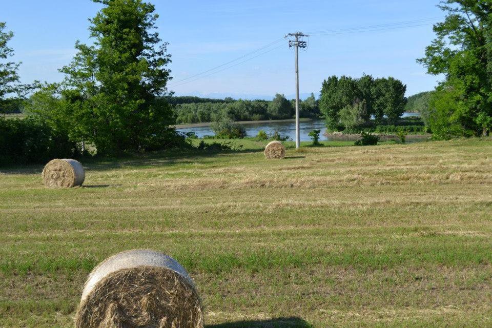 Agriturismo Il Campagnino Кремона Екстериор снимка