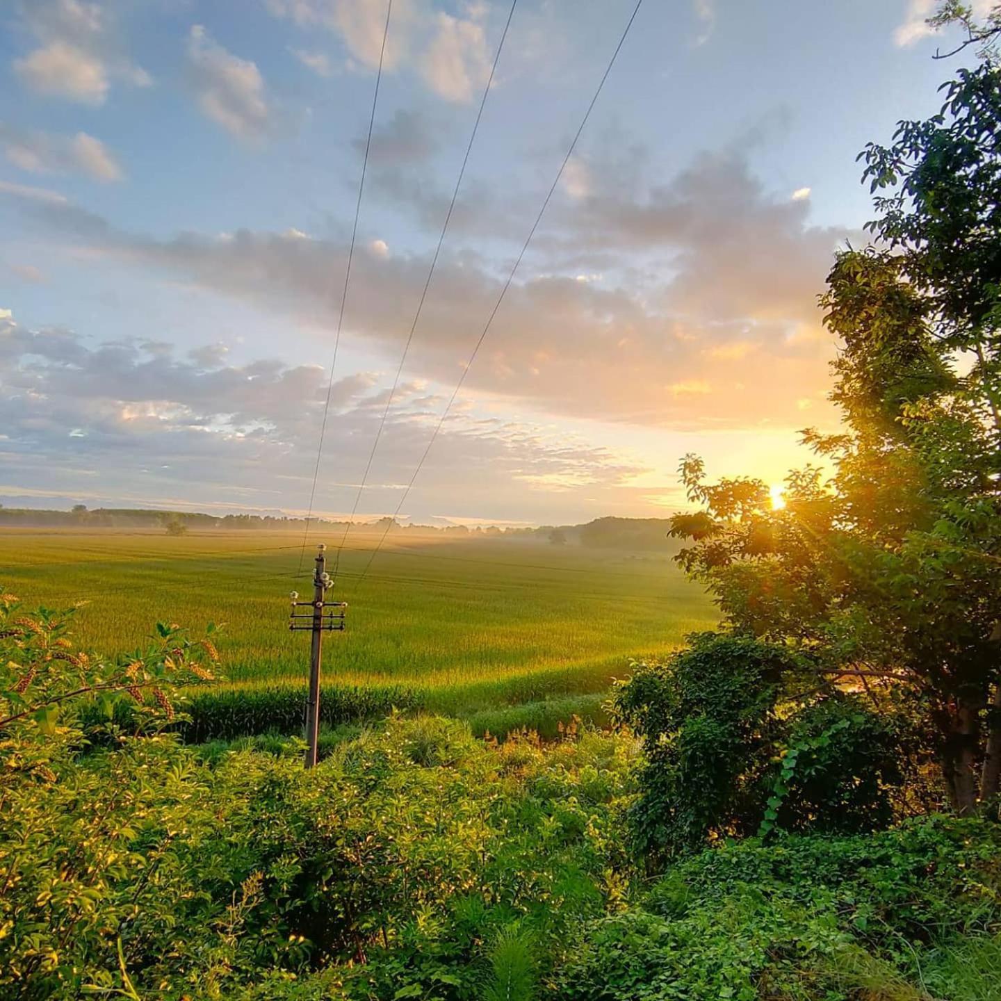 Agriturismo Il Campagnino Кремона Екстериор снимка