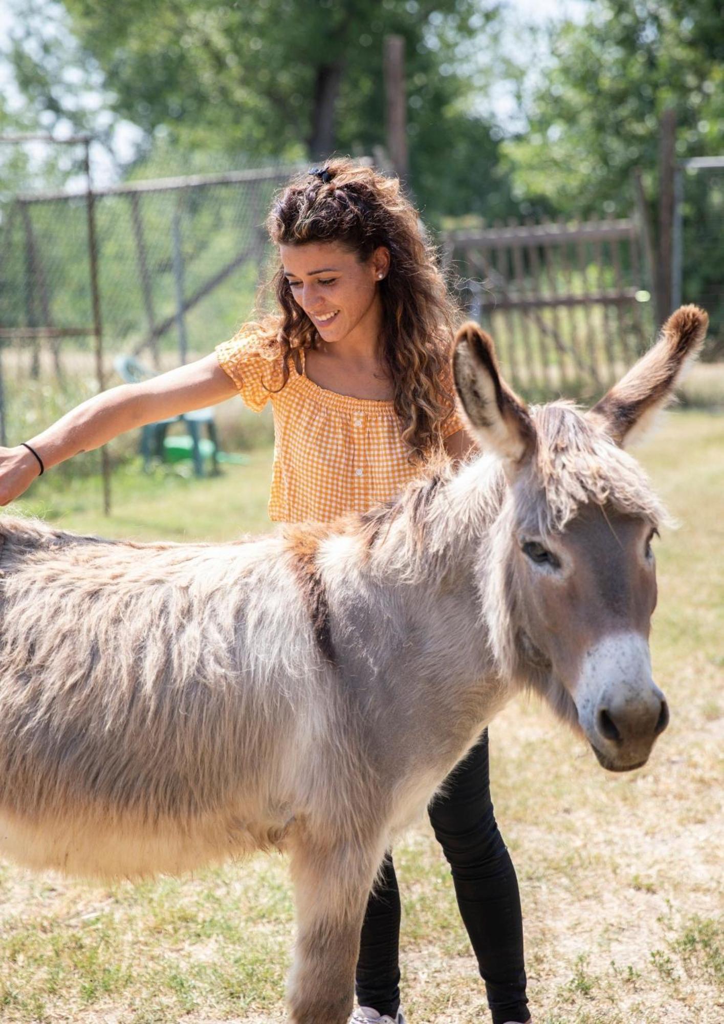 Agriturismo Il Campagnino Кремона Екстериор снимка